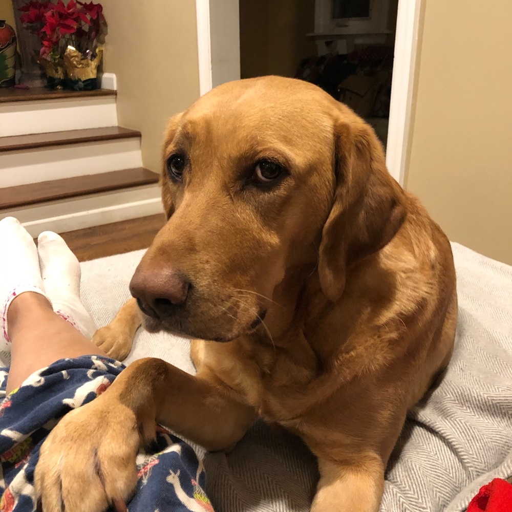 Meet your Posher, Rocio